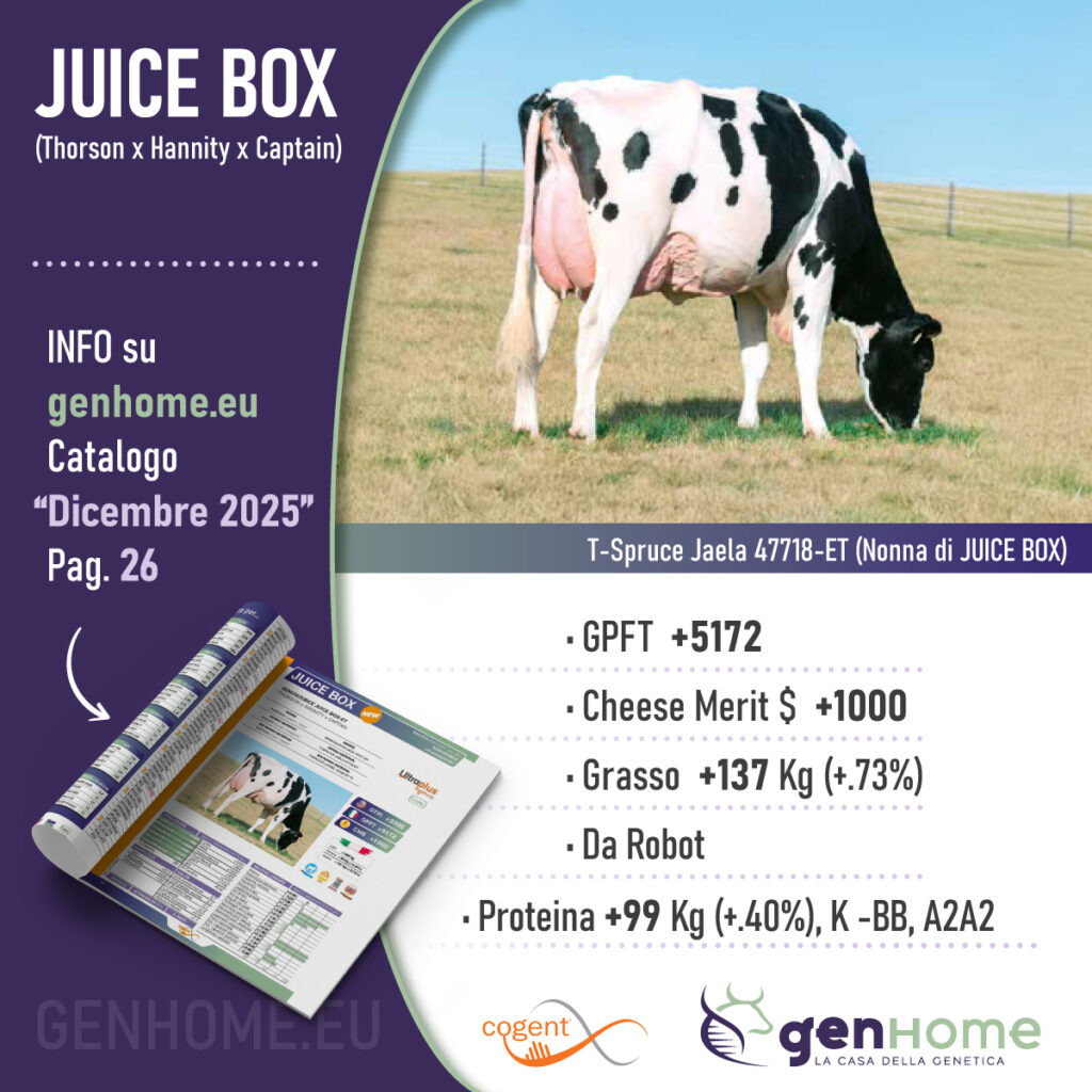 Riproduttore Holstein: Juice Box
