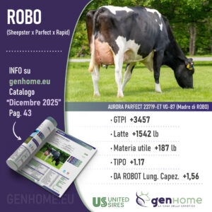 Riproduttore Holstein: Robo