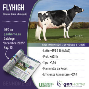 Riproduttore Holstein: Flyhigh