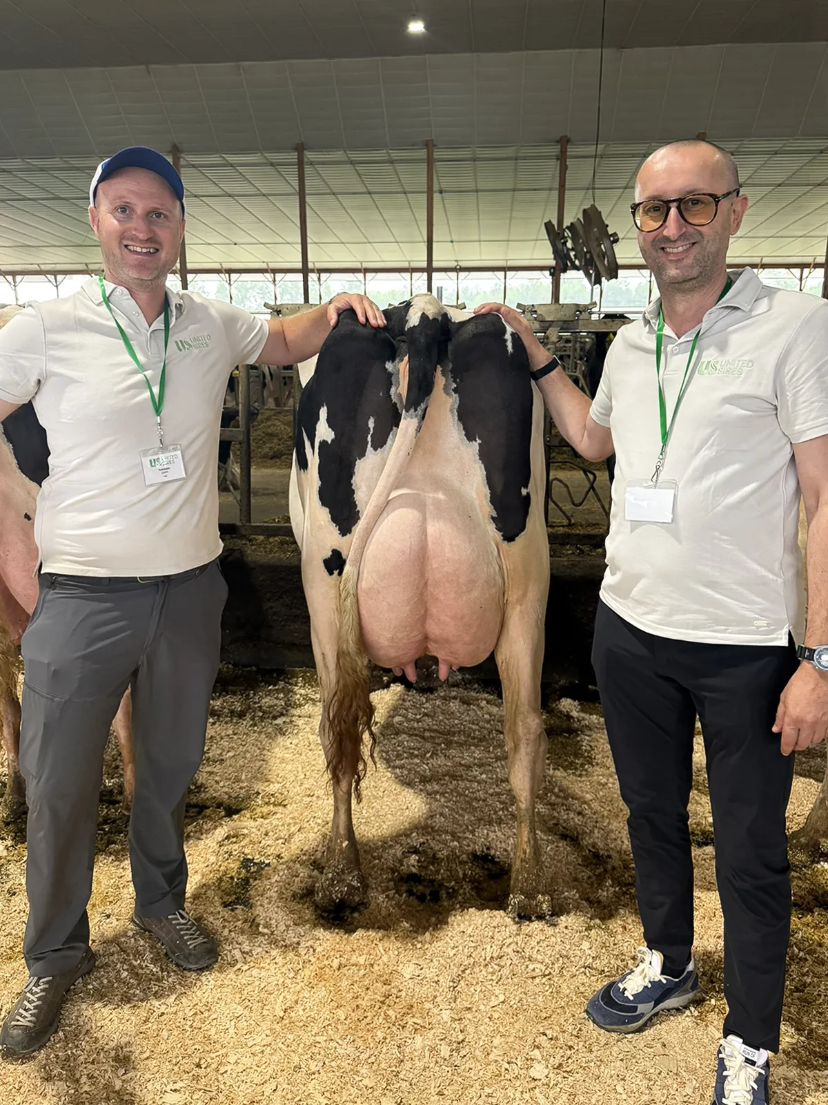 Holstein Friesian Cattle: Tommaso Carini e Daniele Magni con la madre di HAPPINESS.
